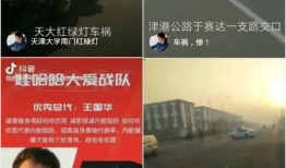 老陈最新爆料新闻视频下载,最新爆料新闻视频幕后真相大起底